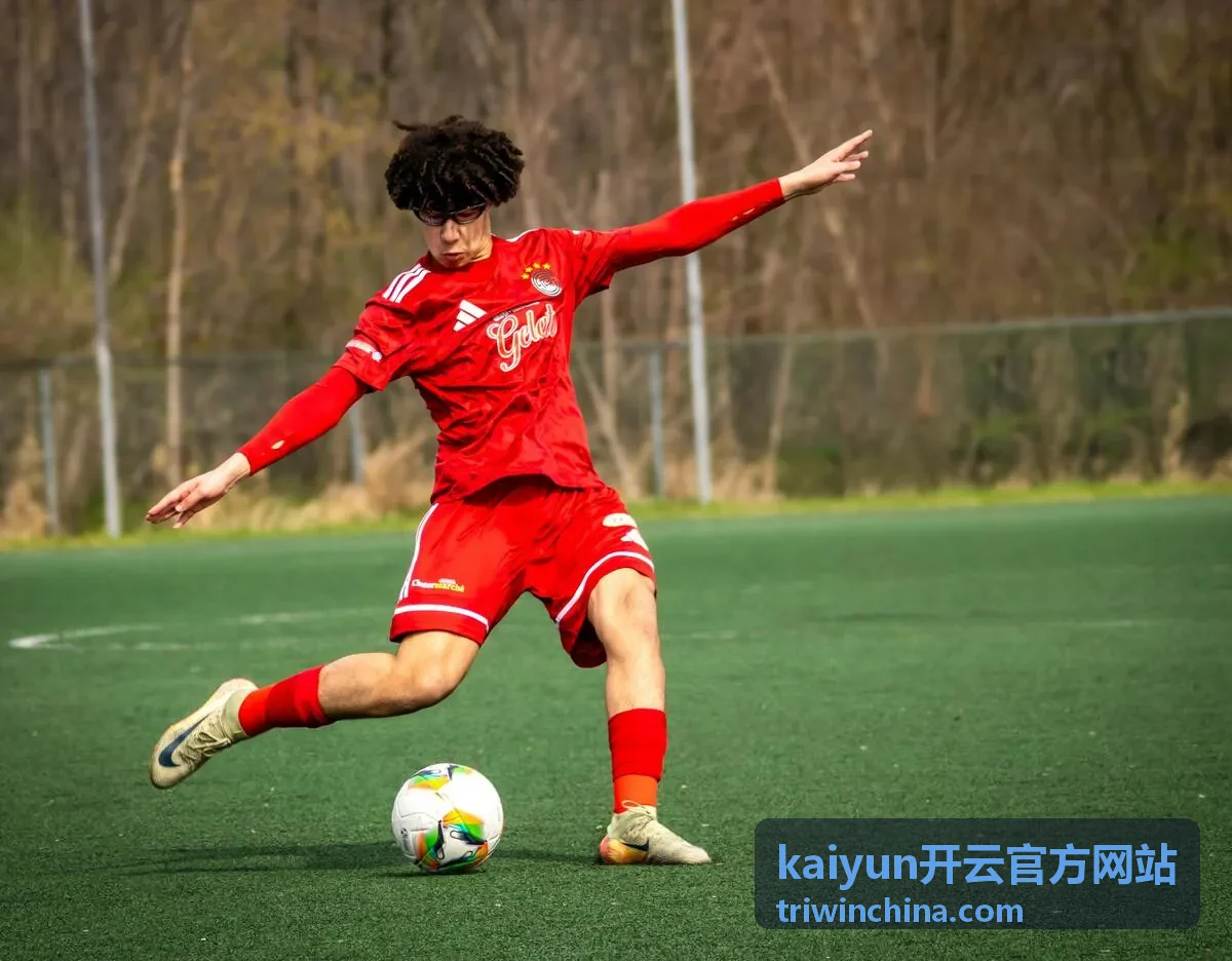 kaiyun开云官方网站通知与更新设置功能说明图